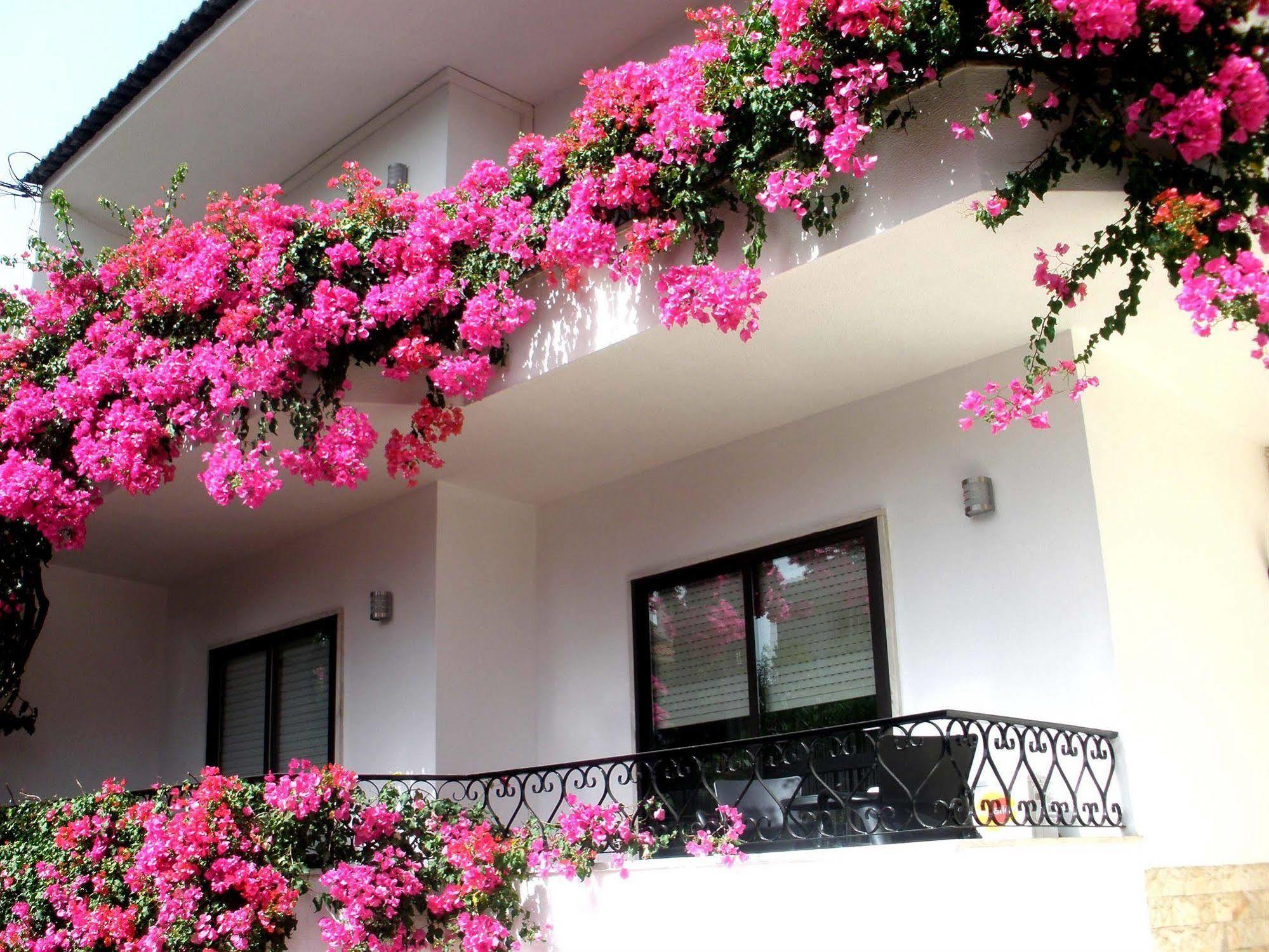 Dolce Cascais Guest House Zewnętrze zdjęcie